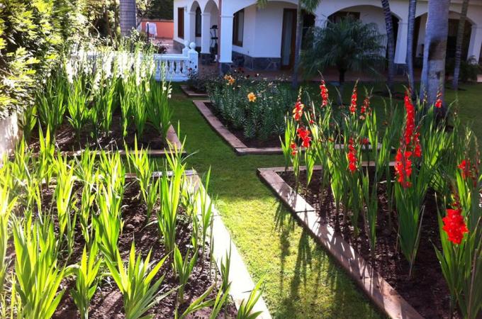 jardinería en Tenerife