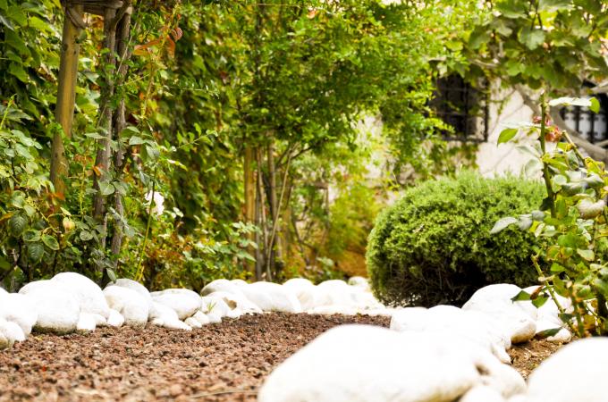 Jardinería en Tenerife