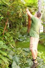 Jardineria ecologica en Tenerife