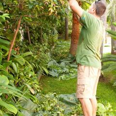 Jardineria ecologica en Tenerife